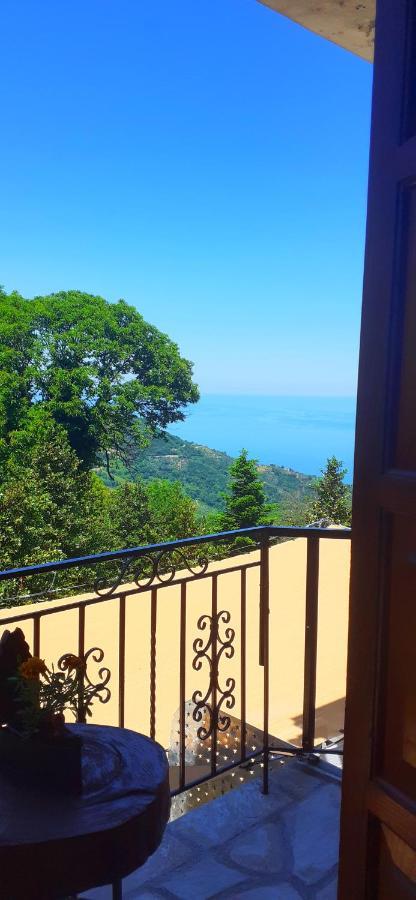 Anilio Pelion Golden Mountainゲストハウス エクステリア 写真